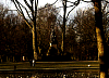 Vondelpark - Statue Close Up
