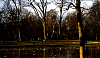 Vondelpark - Statue
